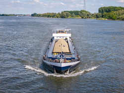 Bremare