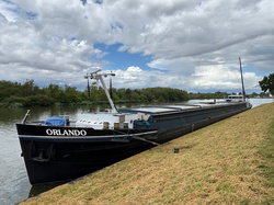 Orlando