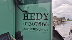 Hedy