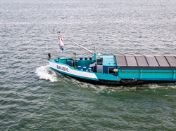 Bausyl