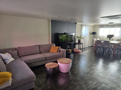  Aquality & Aquality 2