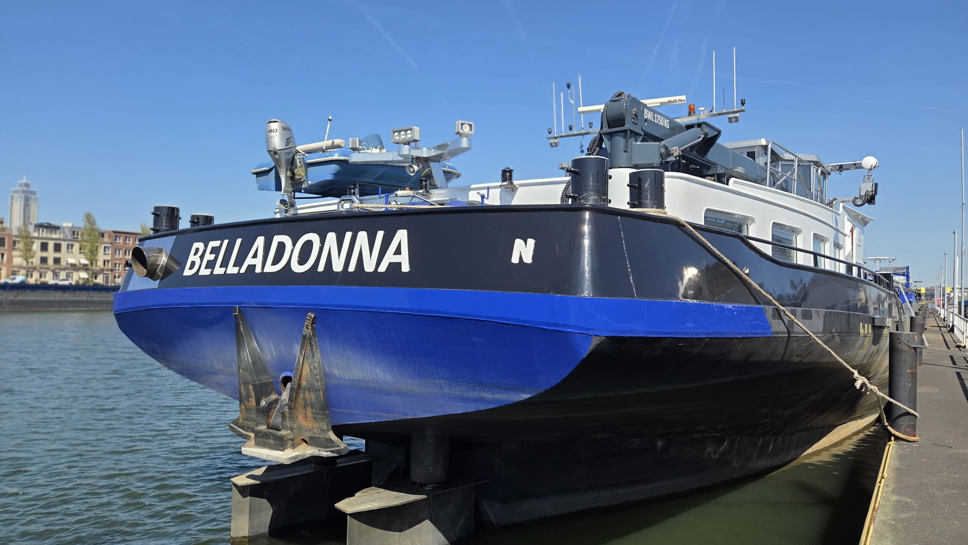 Belladonna