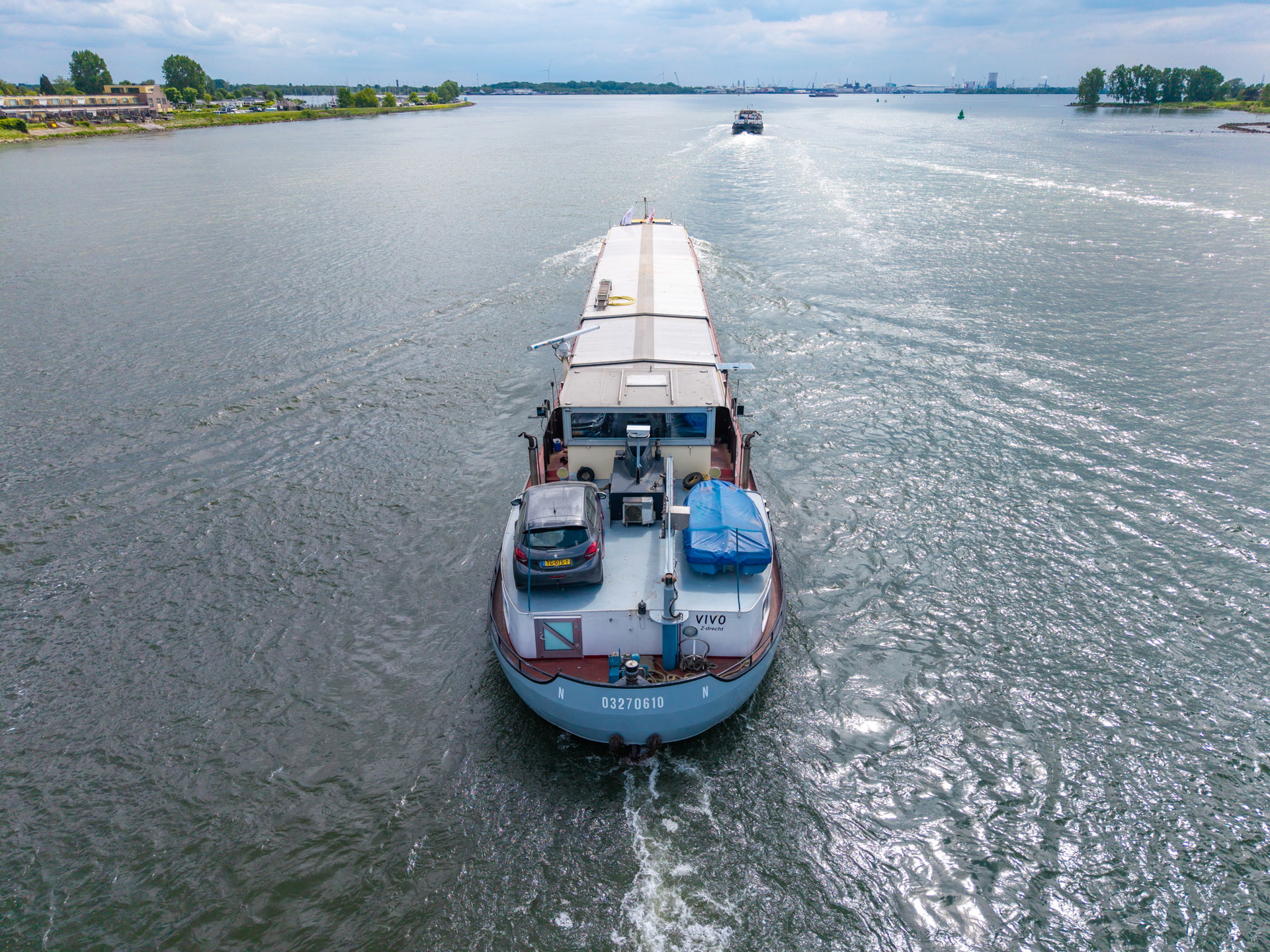 Vivo