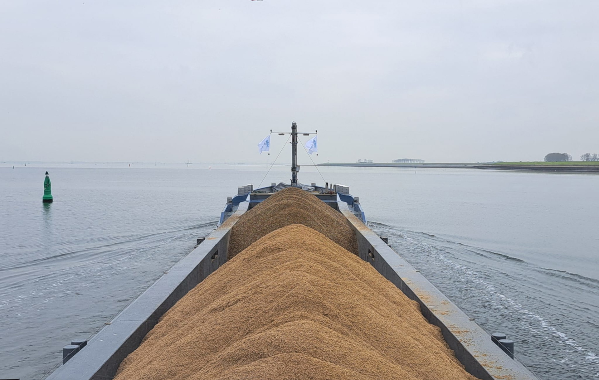 Marinier 