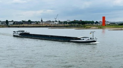 Marine 