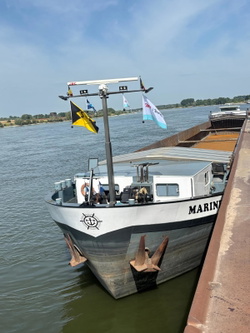 Marine 