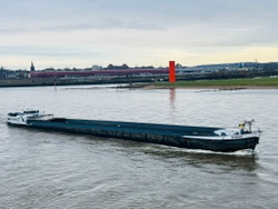 Marine 