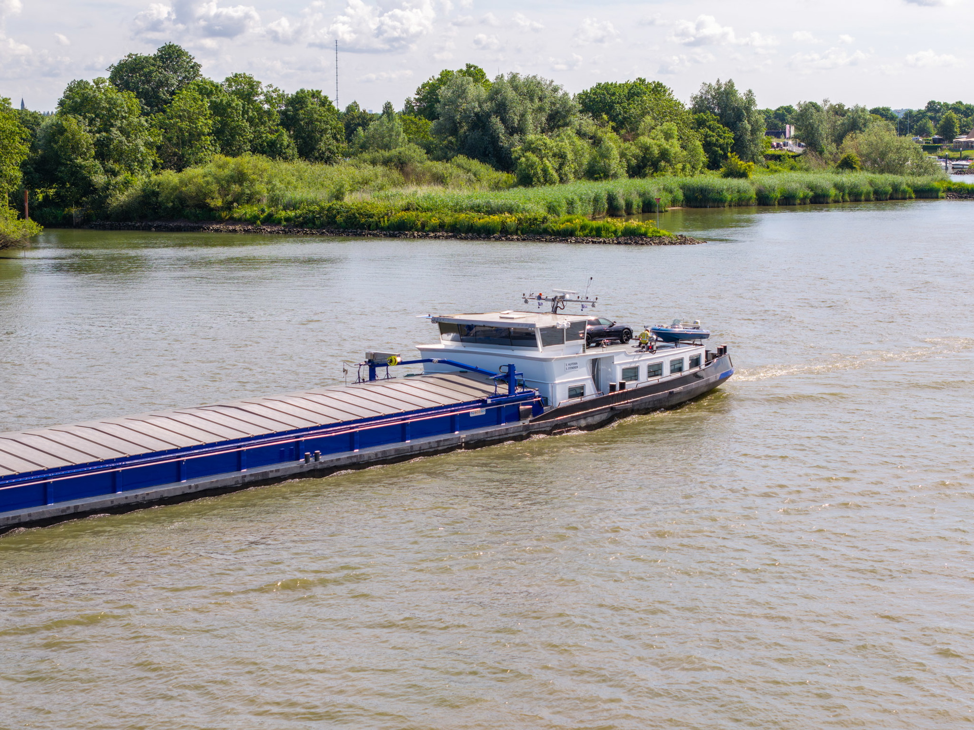 Belladonna