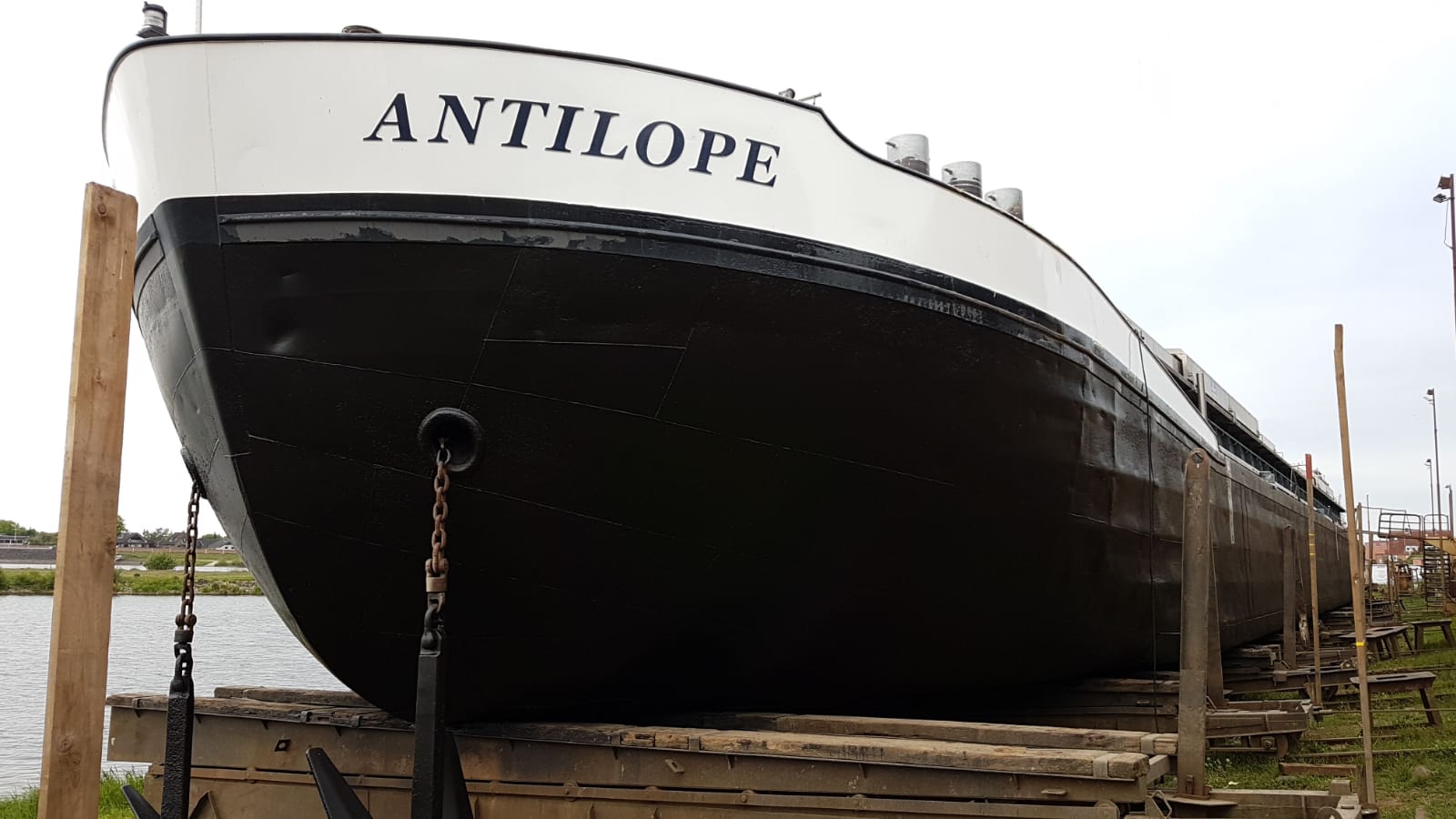 Antilope