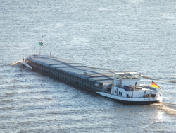 Antilope