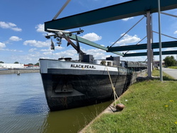 Black Pearl 