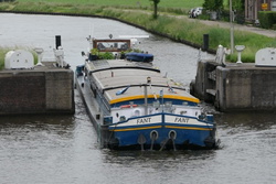 Fant