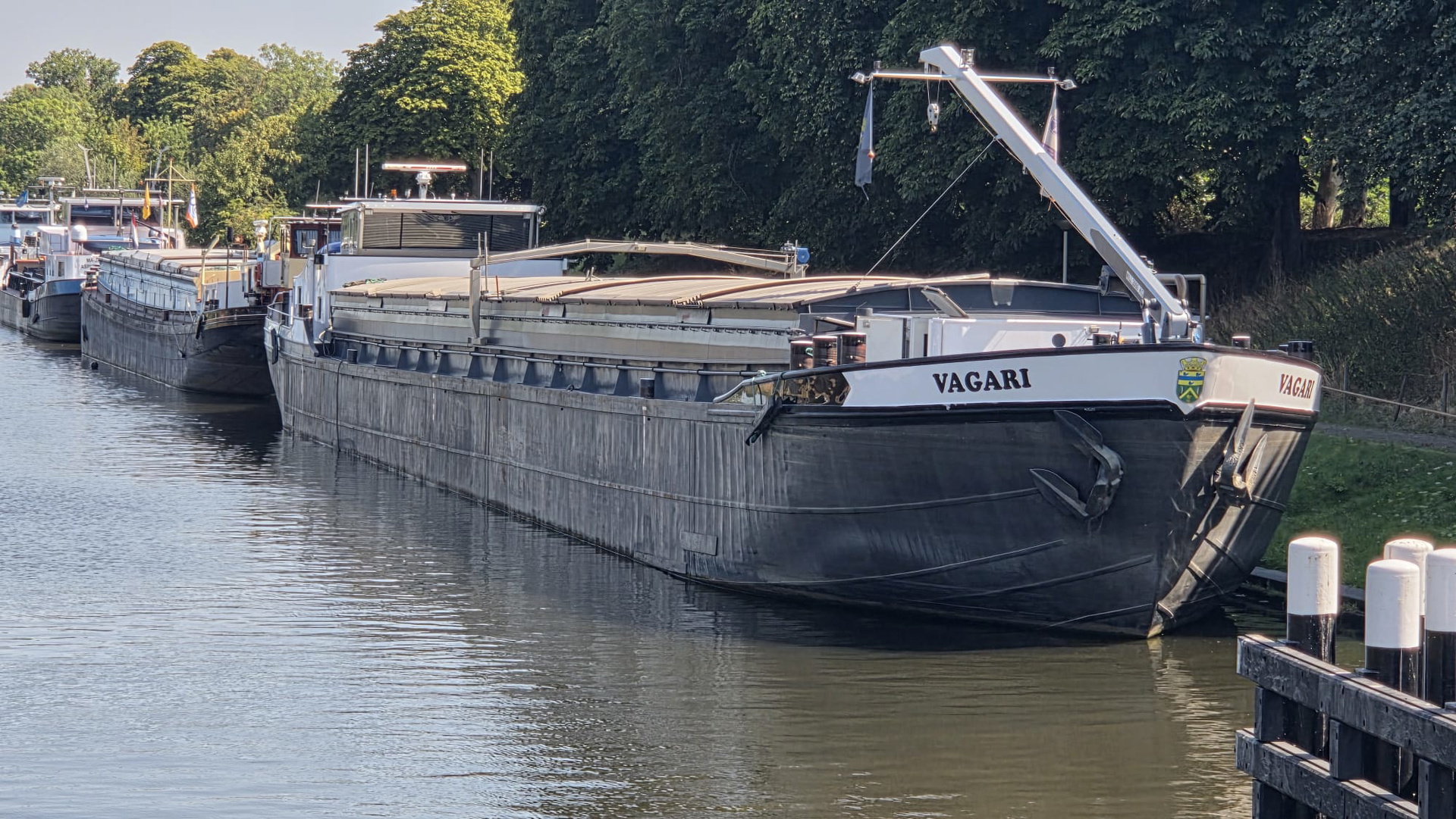 Vagari