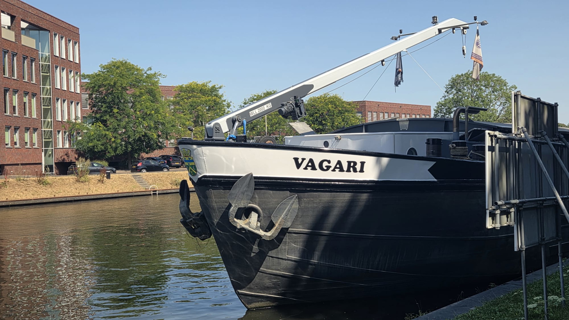 Vagari