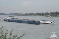 Sirène