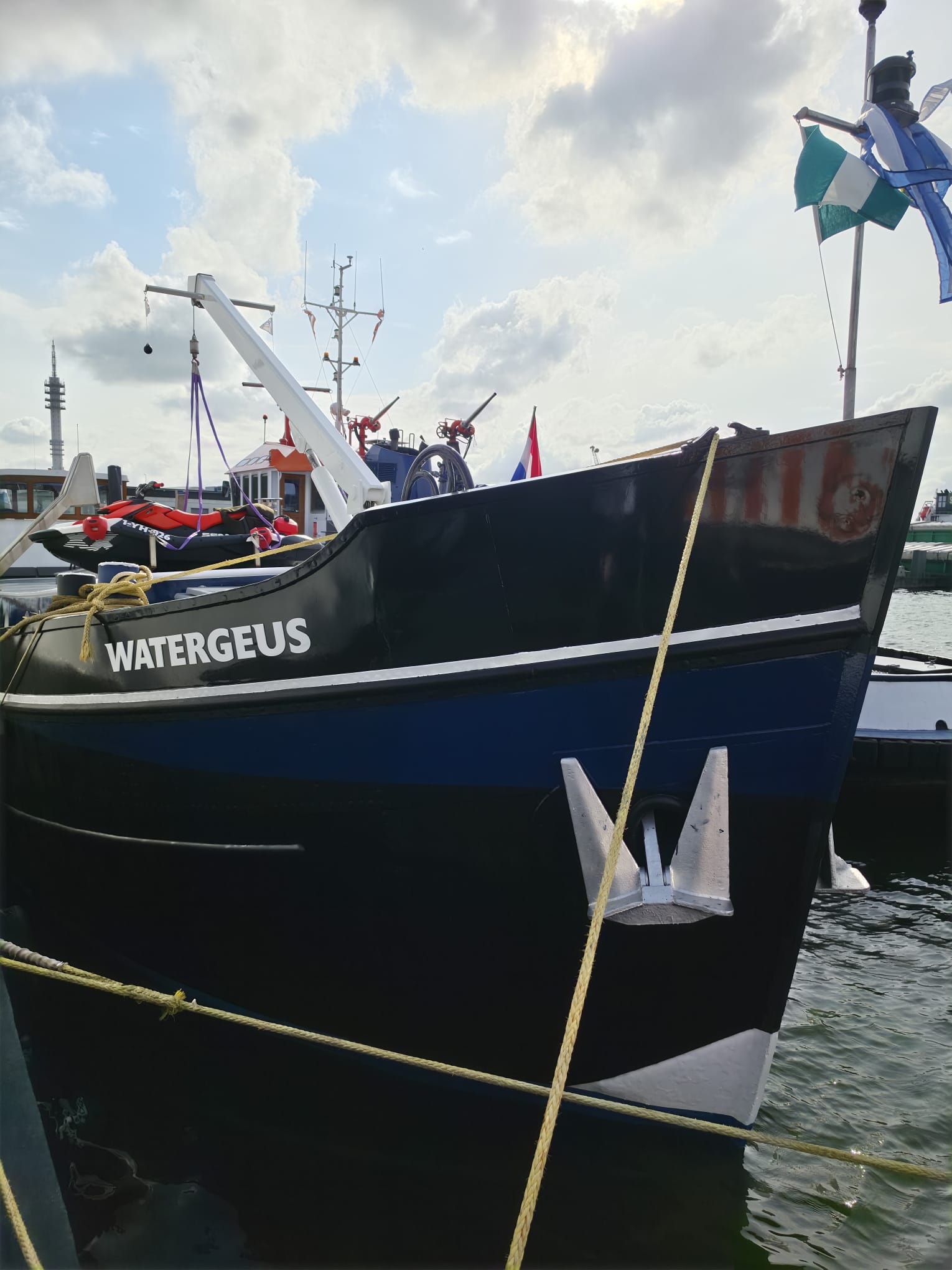 Watergeus